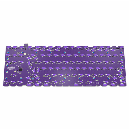 SAM80-H [PREORDER]