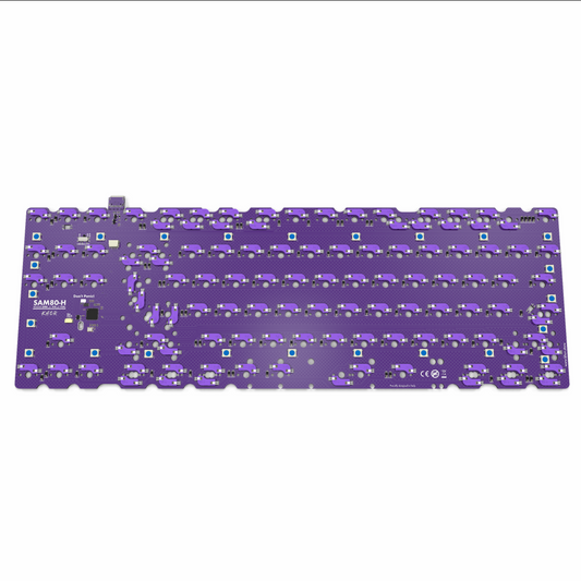 SAM80-H [PREORDER]