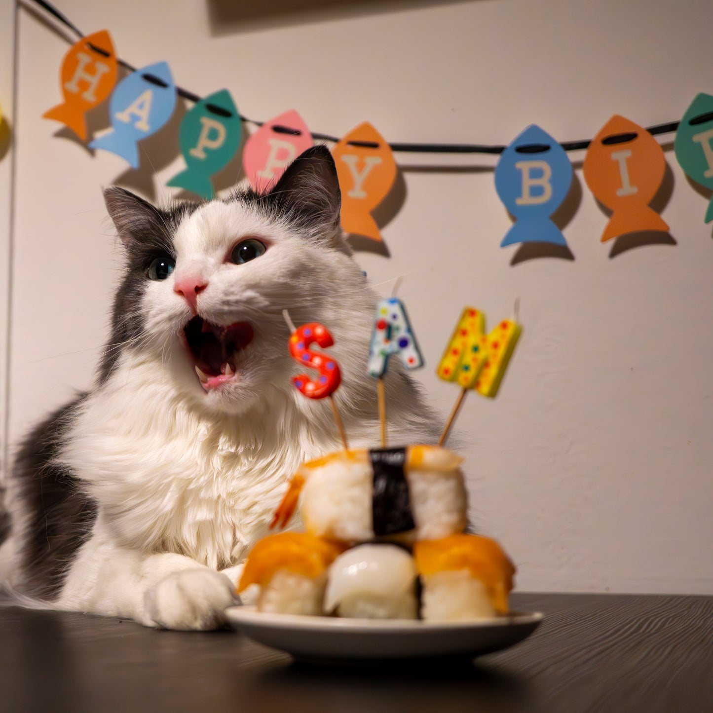 Sam's Birthday Card